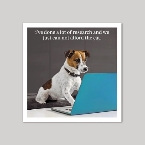 Ive done a lot of research and we just can not afford the cat