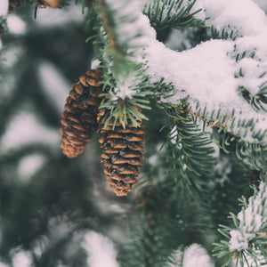 Winter warmth