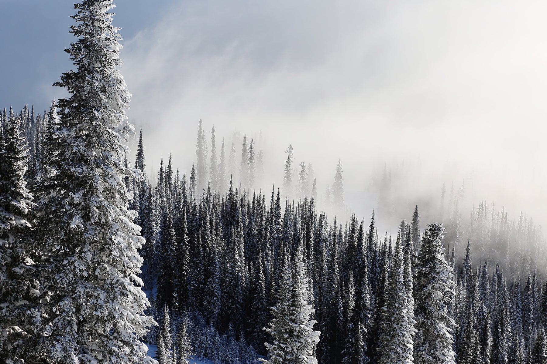 Crystal Fog Photographic Print