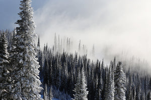 Crystal Fog Photographic Print