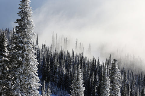 Crystal Fog Photographic Print