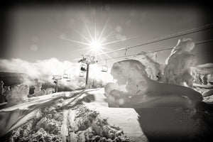 Crystal Lion - Black & White Photographic Print
