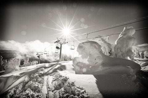 Crystal Lion - Black & White Photographic Print
