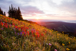 Dawn at the Top - Photographic Print