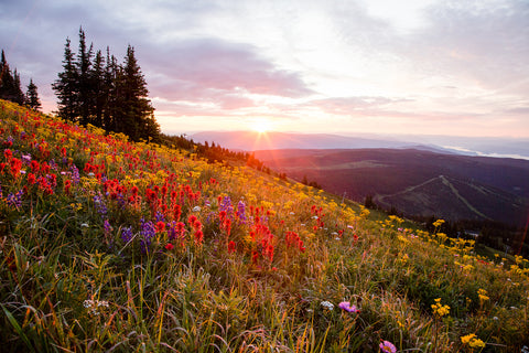 Dawn at the Top - Photographic Print
