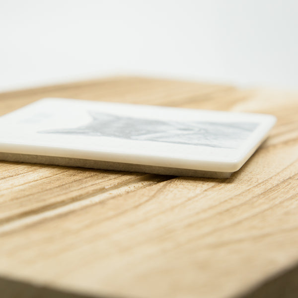 Otterly Amazing - Porcelain Coaster