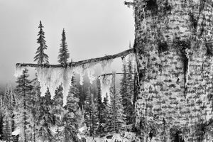 Frozen - Black & White Photographic Print