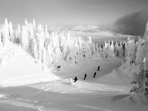 Five Mile Shred- Black & White Photographic Print