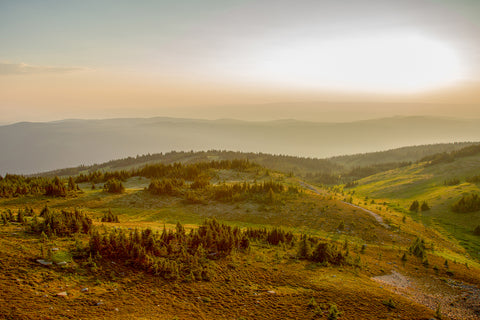 Golden Hour Three - Photographic Print