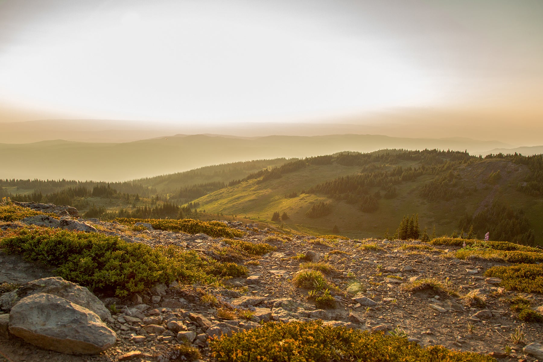 Golden Hour Two - Photographic Print
