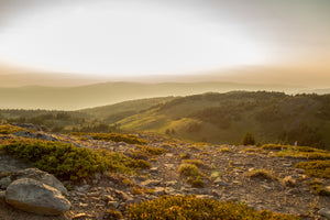 Golden Hour Two - Photographic Print