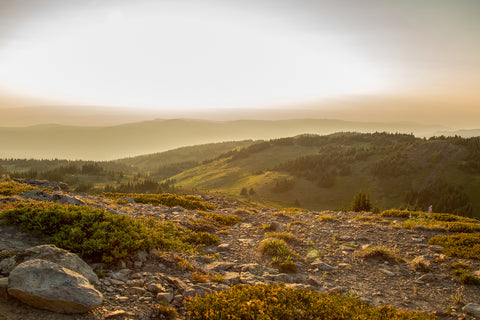 Golden Hour Two - Photographic Print