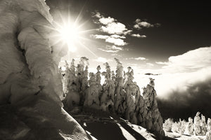 Snowghost Sunburst - Black & White Photographic Print