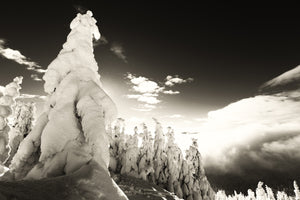 Snowghost Glow - Black & White Photographic Print