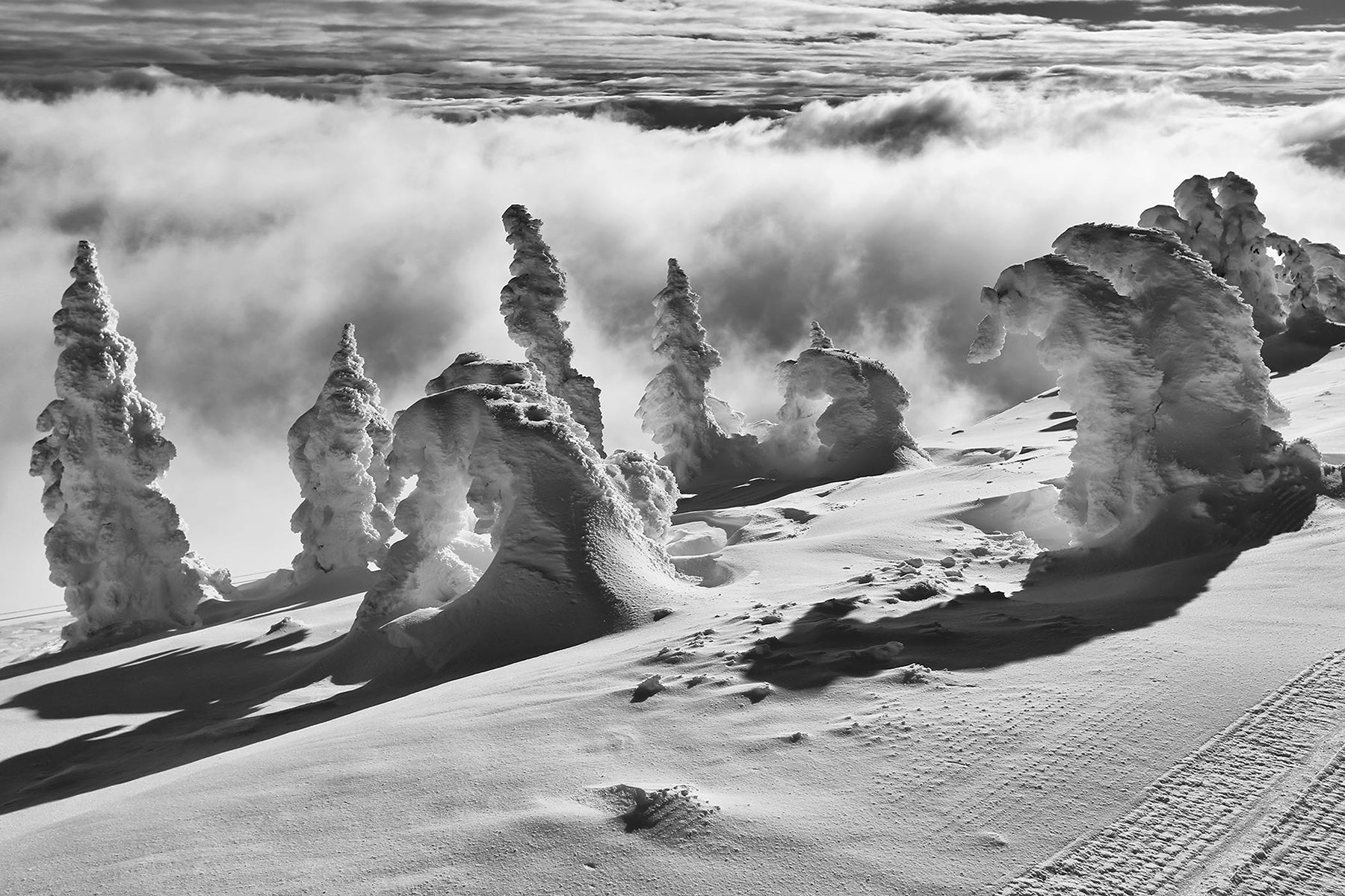 Snow Guardians - Photographic Print