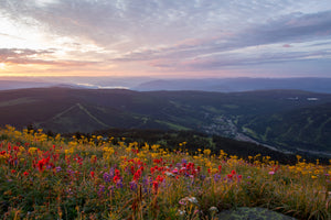 Dawn over Sun Peaks - Photographic Print