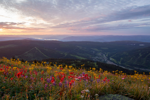 Dawn over Sun Peaks - Photographic Print