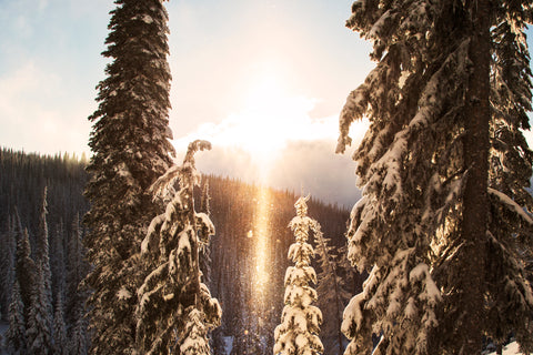 Sun Dog Diamonds - Photographic Print